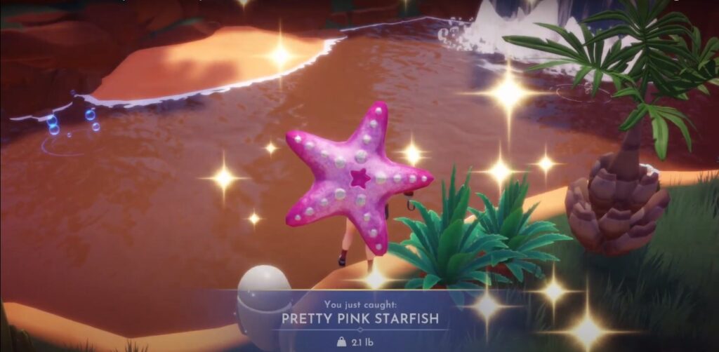 How to Catch Pretty Pink Starfish