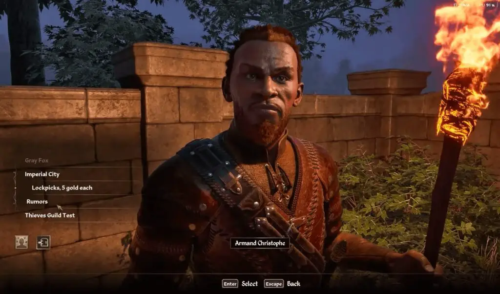 Thieves Guild in Elder Scrolls: Oblivion Remastered