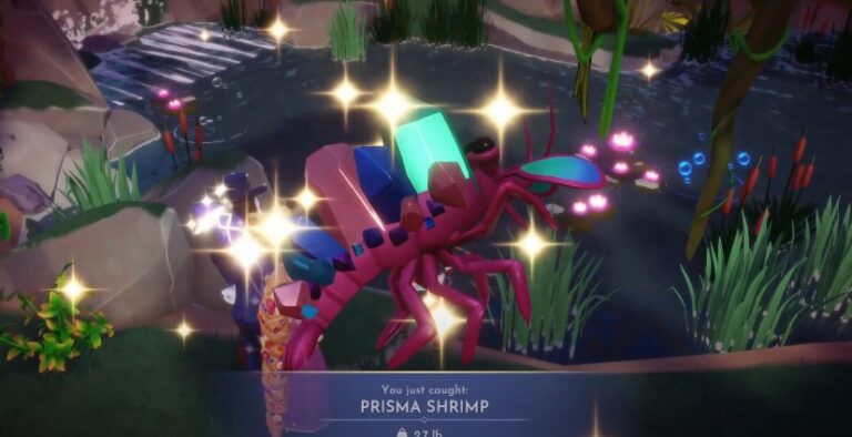 Where to Find Prisma Shrimp